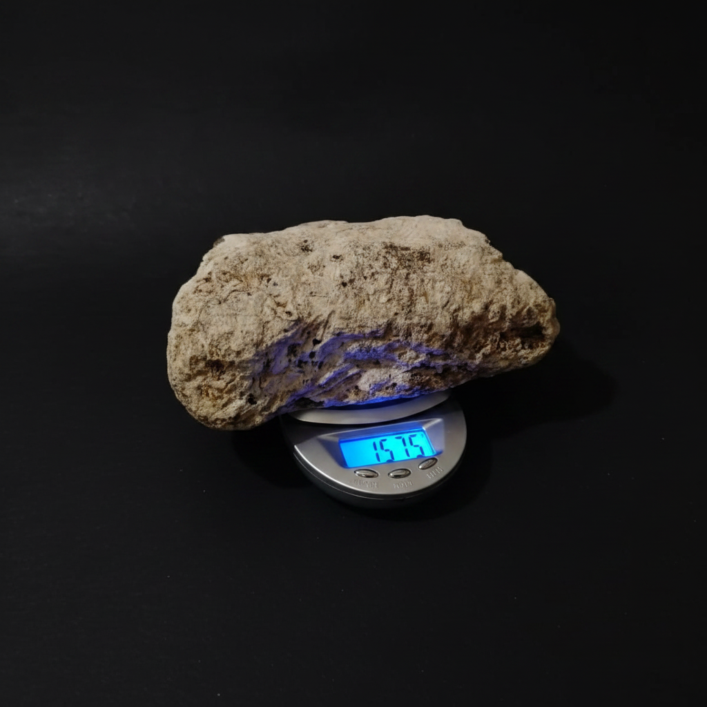 Rare White Mediterranean Ambergris — 157.5g | Hand-Collected