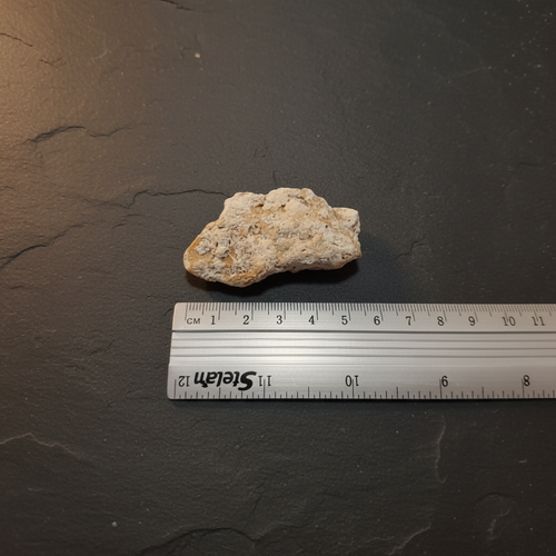 Mediterranean Ambergris — 6.6g | Hand-Collected